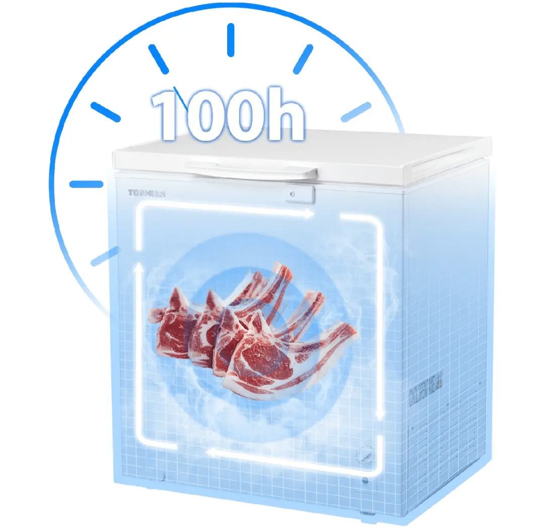 Tủ đông 1 ngăn Toshiba GR-RC265CM