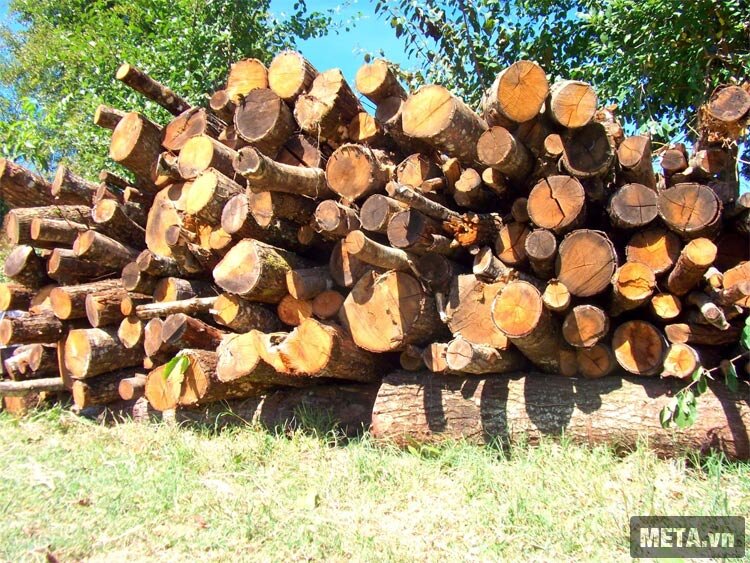 Máy cưa xích Oshima 5200