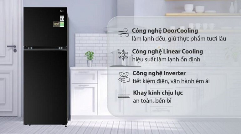 Tủ lạnh LG Inverter 315 lít GN-M312BL