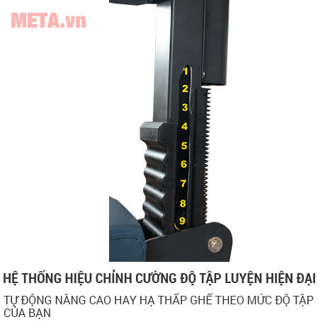 Máy tập lưng trong, lưng ngoài Tiger Sport Premium TGP-450