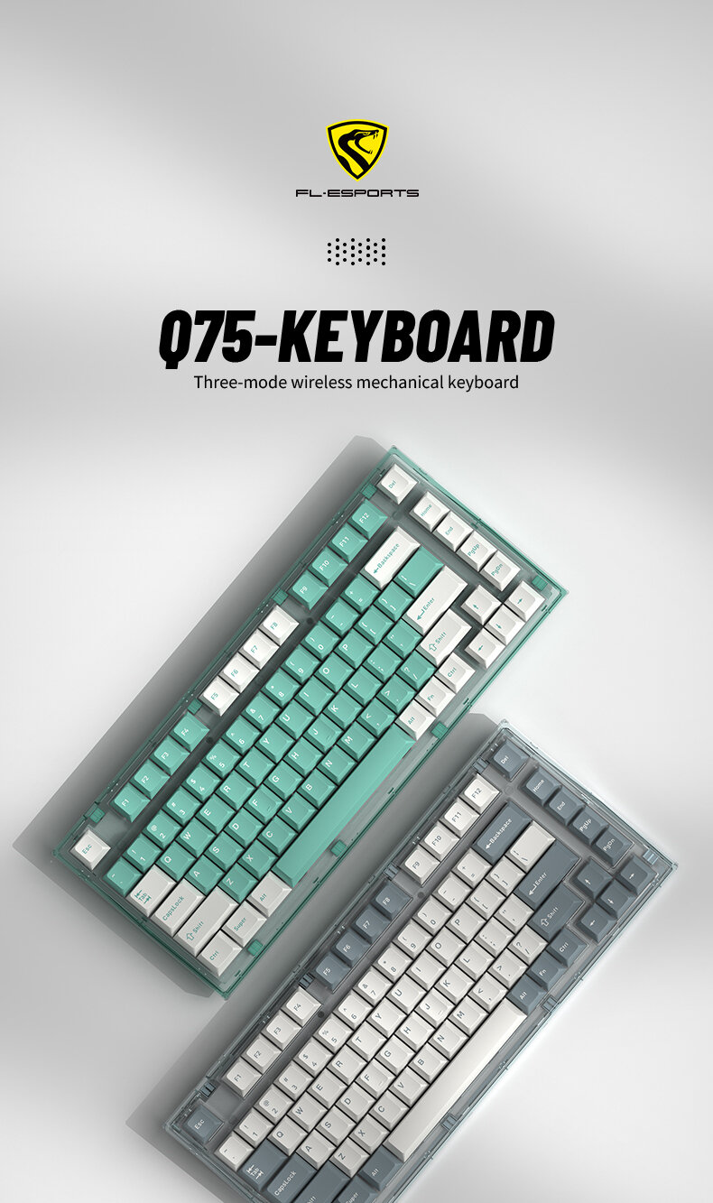 Bàn phím cơ Không dây FL-Esport Q75 Blue Haze 3 Mode Coolmint sw (Kailh Box/USBC/Bluetooth/RGB) 1