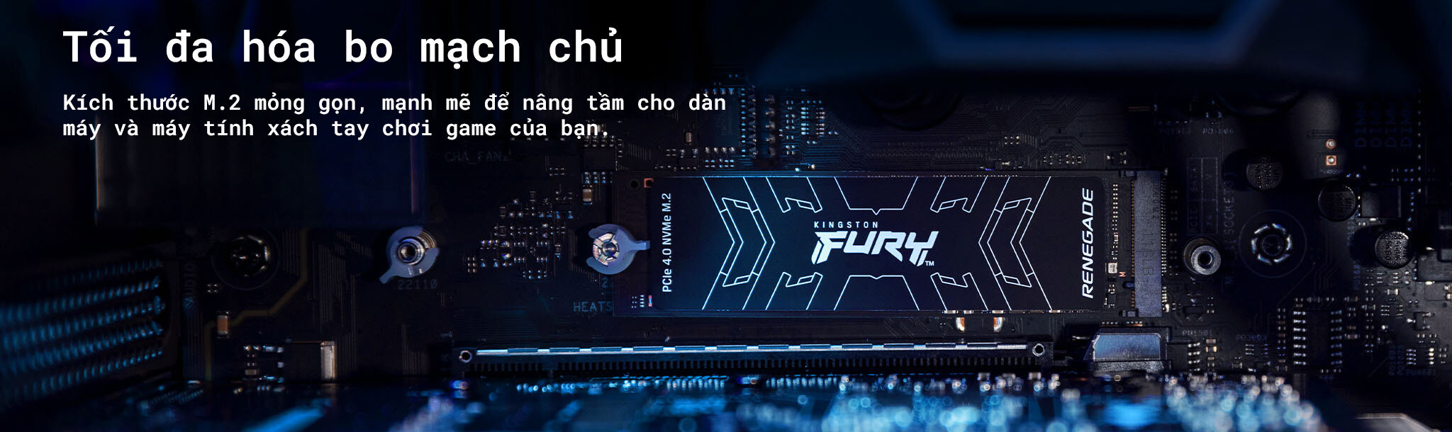 Ổ cứng SSD Kingston Fury Renegade