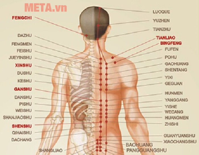 Ghế massage toàn thân Tokuyo TC-366