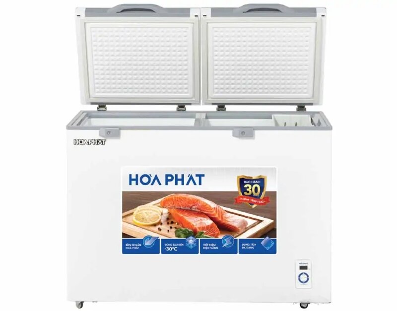 Tủ đông Hòa Phát 2 ngăn 245 lít BD6245.T1