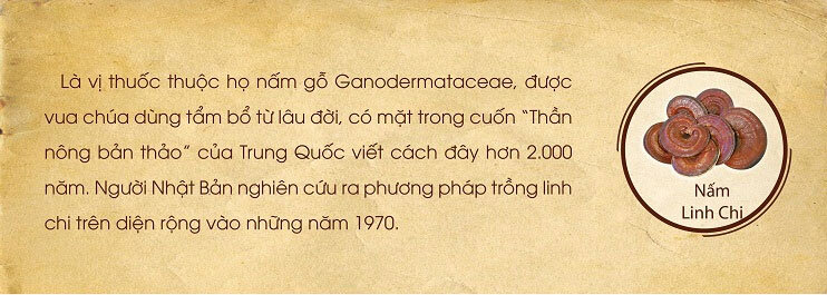 Thực phẩm chức năng bảo vệ sức khỏe Beta Glucan Ball 60g - Khắc tinh tế bào ung thư