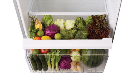 Tủ lạnh Toshiba 409 Lít TG46VPDZ(ZW1), 2 cánh