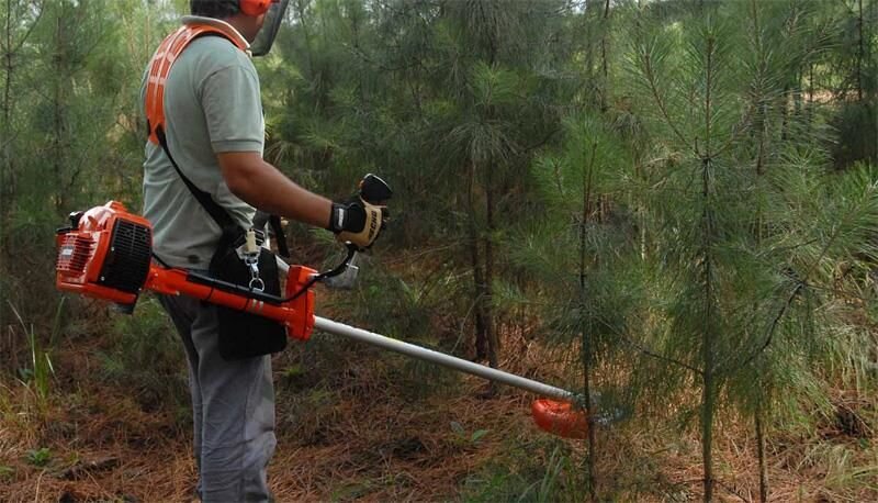 Máy cắt cỏ 2 thì Echo SRM3605