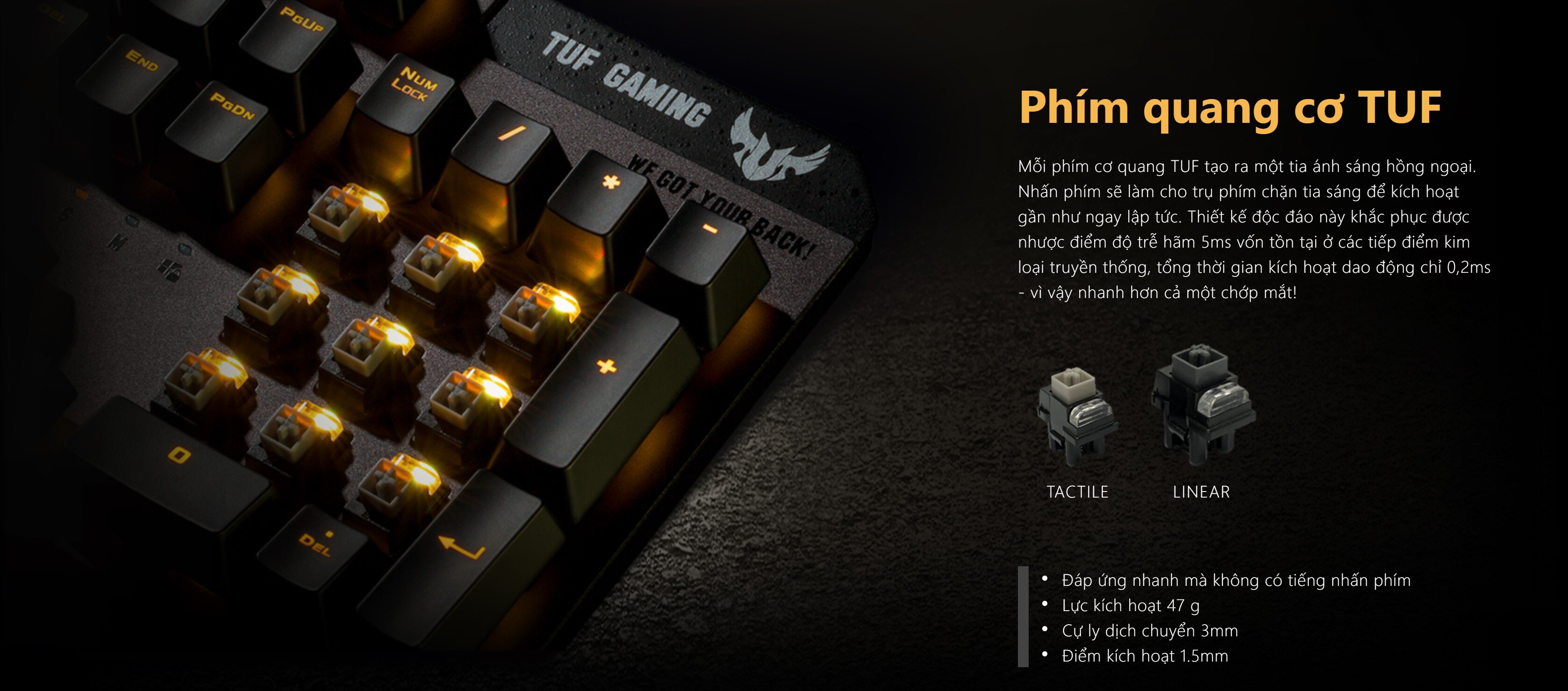 Bàn Phím ASUS TUF Gaming K7 (USB/RGB/Linear Swicth RA03) 90MP0191-B0JA00