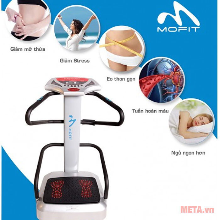 Máy rung toàn thân Mofit MJ001F