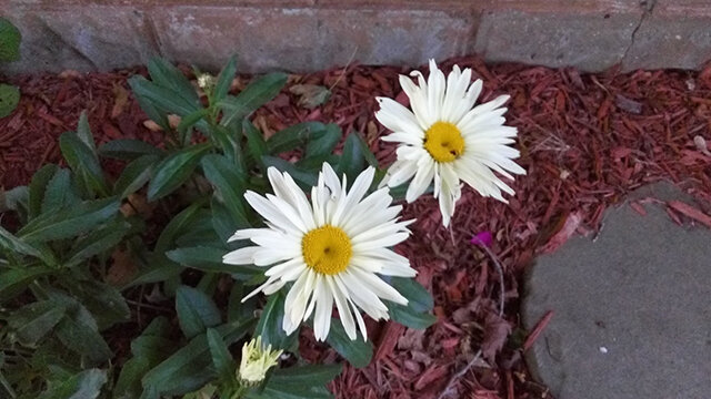 Điện thoại Meizu m2 note