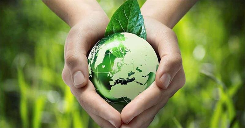 Tủ lạnh Electrolux EUM0500SB - 50 lít Tủ lạnh Electrolux EUM0500SB - 50 lít