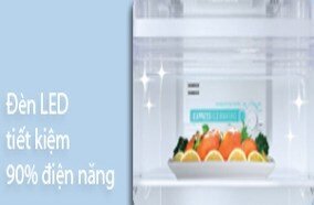 Tủ lạnh Sharp SJ-316S-SC 308 lít