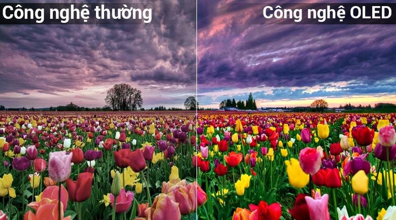 Smart Tivi OLED LG 55 inch 55B8PTA