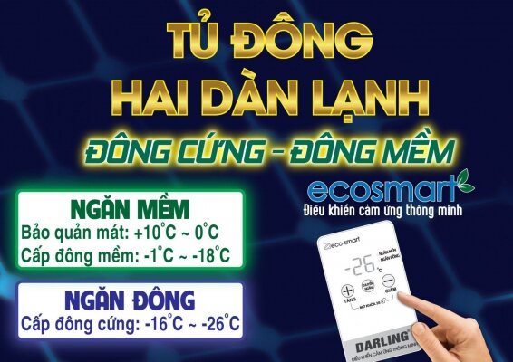 Tủ đông Darling 2 ngăn 450 lít DMF-4699WS-4