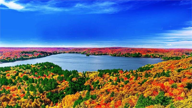 Smart Tivi LED LG 4K 49 inch 49SM8100PTA NanoCell TV