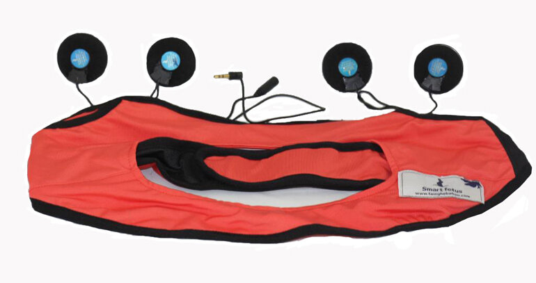 Tai nghe bà Bầu Smart Fetus Angelips