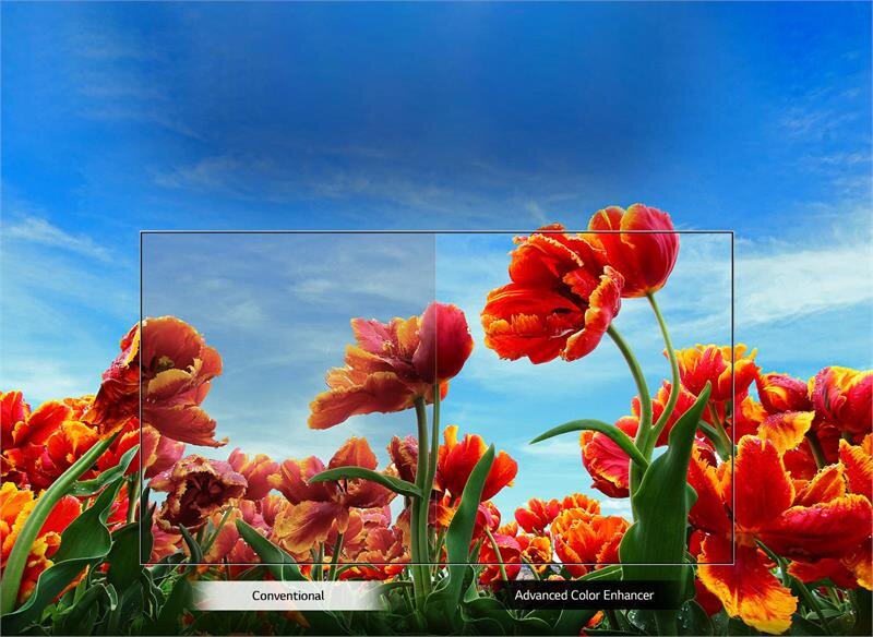 Smart Tivi LED LG 43 inch 43LM5500PTA, Full HD, HDR