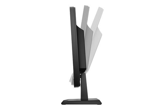 Màn hình HP V19 (Ảnh 3)