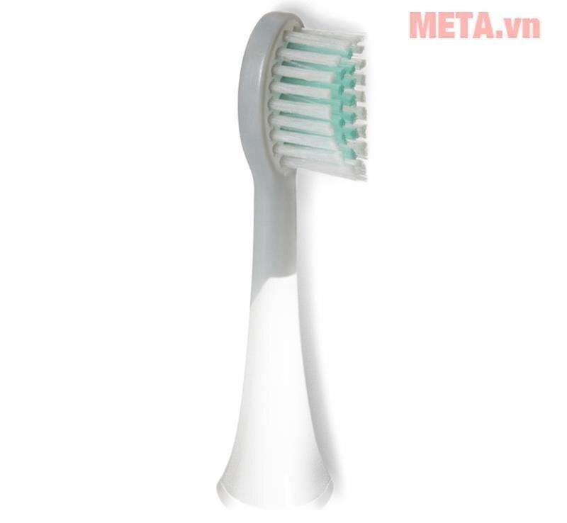 Đầu bàn chải máy tăm nước DCIT