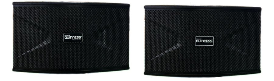 Loa Guinness KS-105G Loa Guinness KS-105G