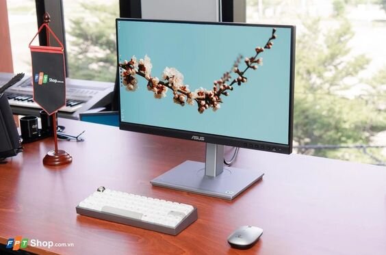 Màn hình Asus ProArt PA247CV-P (Ảnh 2)