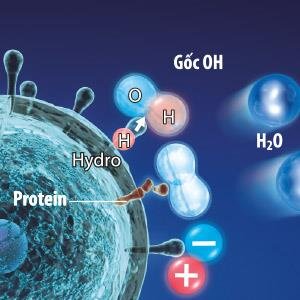 Máy lọc không khí Sharp IG-A20E-W