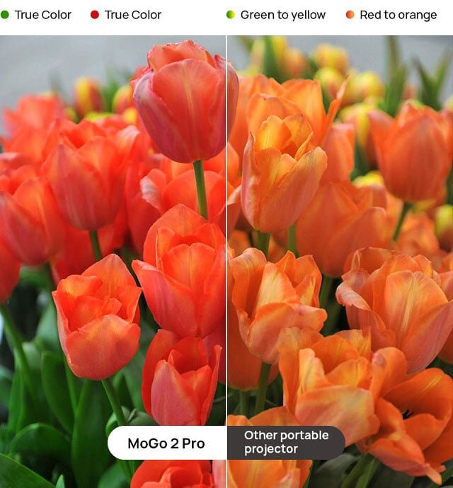 Máy chiếu Xgimi cho màu sắc sống động, chân thực Máy chiếu Xgimi