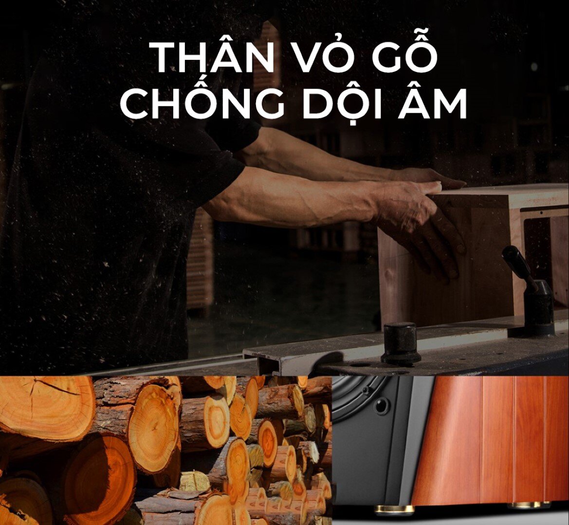 Loa HiVi Swan M200MKIII Plus