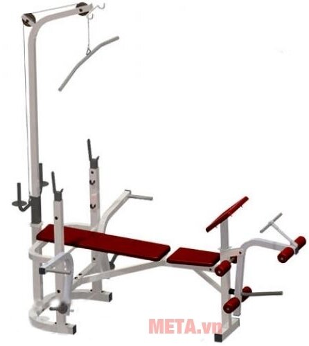 Ghế tập Multy Ben 501B (601521)