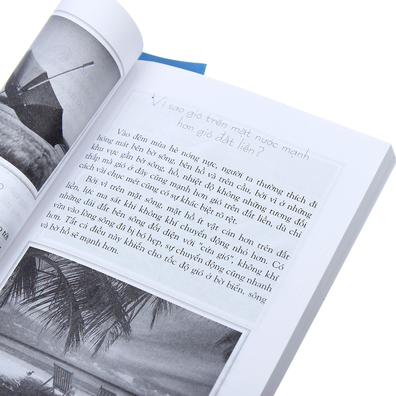  10 vạn câu hỏi vì sao