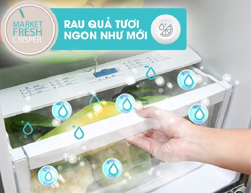 Tủ lạnh Electrolux 348 lít ETB3500PE-RVN Tủ lạnh Electrolux 348 lít ETB3500PE-RVN