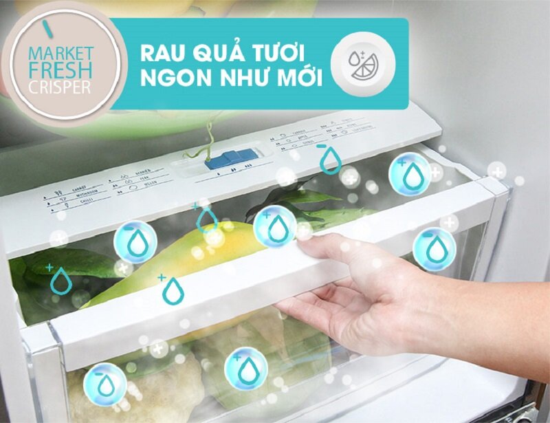 Tủ lạnh Electrolux 348 lít ETB3500PE-RVN Tủ lạnh Electrolux 348 lít ETB3500PE-RVN
