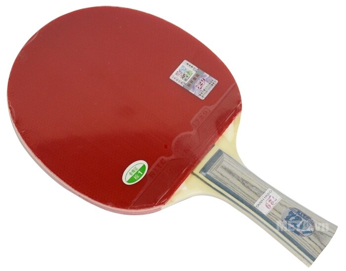 Vợt bóng bàn 729-1060 New