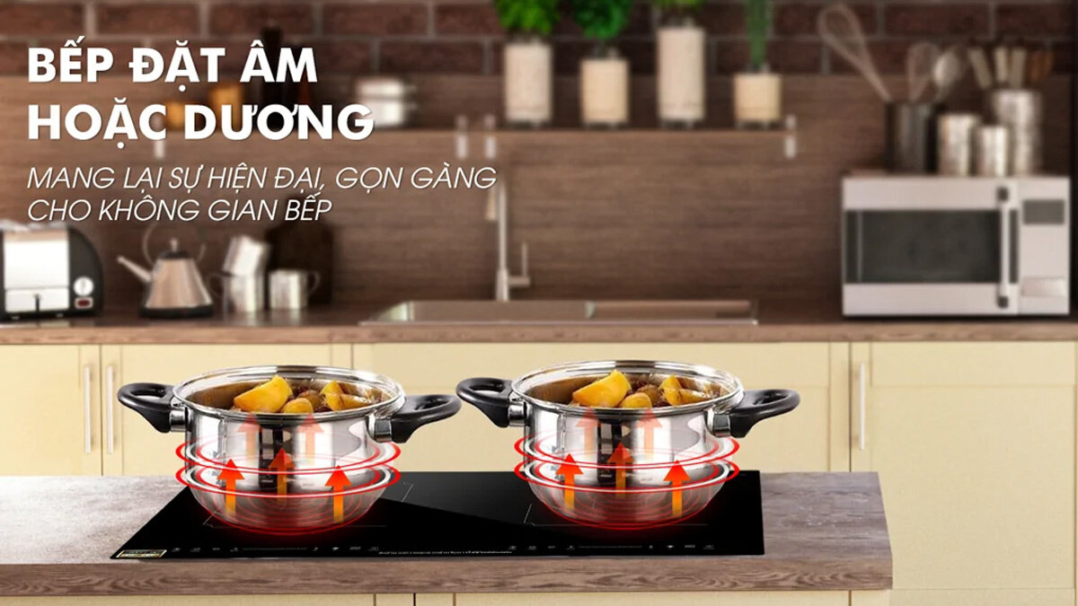 Bếp từ đôi Panworld PW-1911