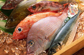 Tủ lạnh AQua SR- AQR 125AN.SS - 123 Lít (Bạc) Tủ lạnh AQua SR- AQR 125AN.SS - 123 Lít (Bạc)