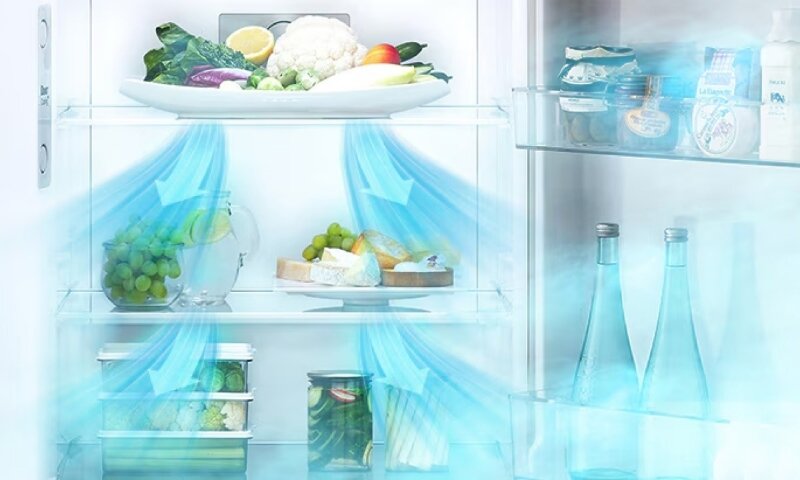 Tủ Lạnh LG Inverter 217 Lít LTB21BLMI