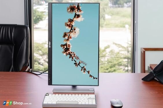 Màn hình Asus ProArt PA247CV-P (Ảnh 10)