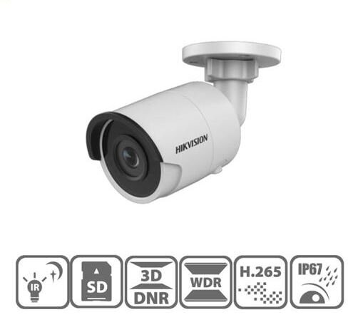 Camera ngoài trời IP Hikvison DS-2CD2043G0-I
