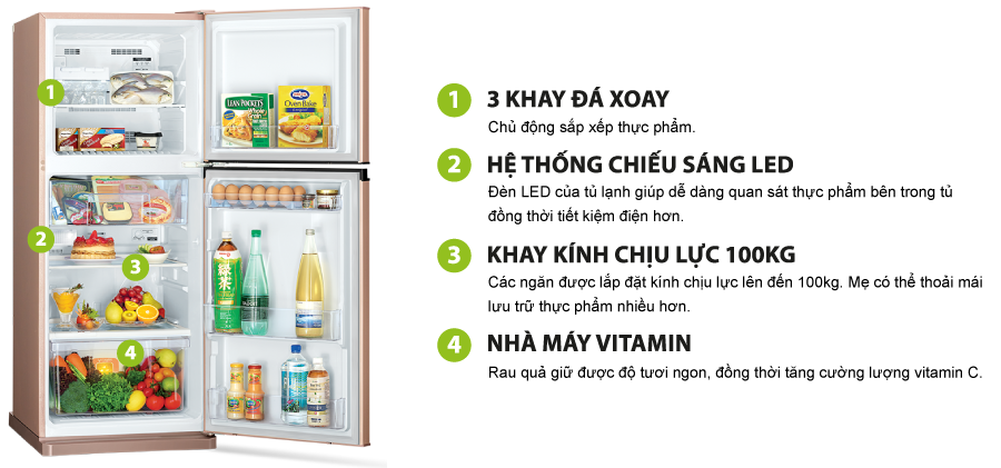 Tủ lạnh Mitsubishi Electric MR-FV28EJ-SL-V - 231 Lít