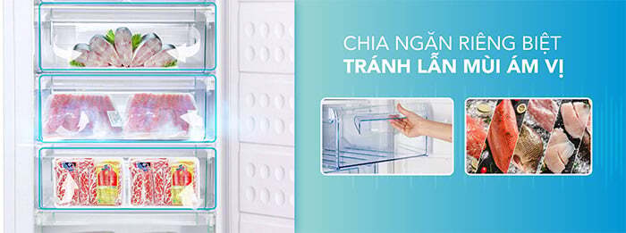 Tủ có ngăn chia riêng biệt Tủ đông Hòa Phát đứng HPF UAH6106