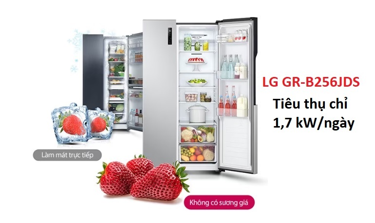 Tủ lạnh LG Inverter 519 lít GR-B256JDS Tủ lạnh LG Inverter 519 lít GR-B256JDS