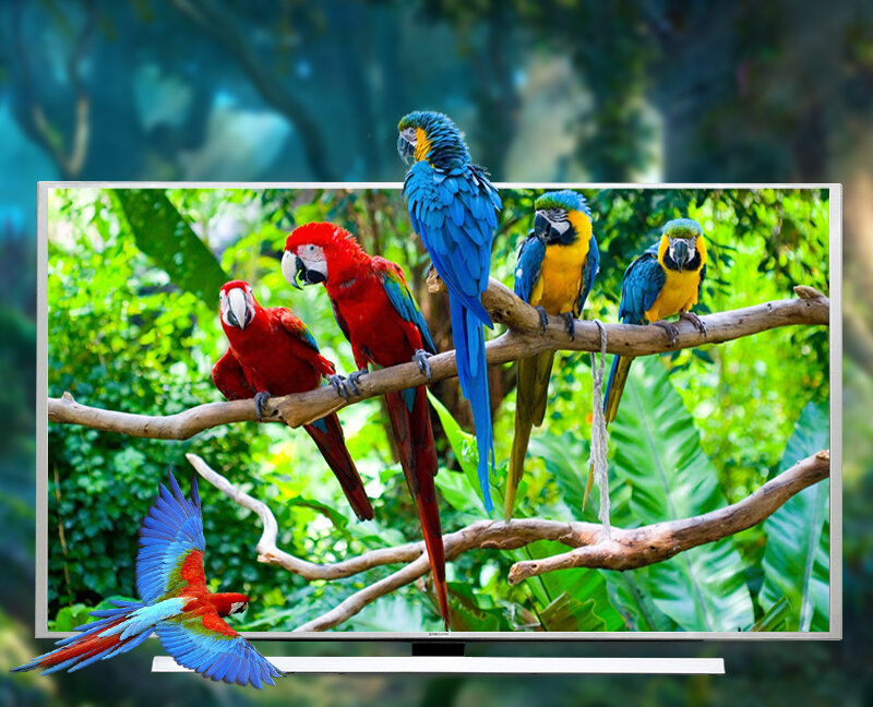 smartphone samsung smartphone samsung