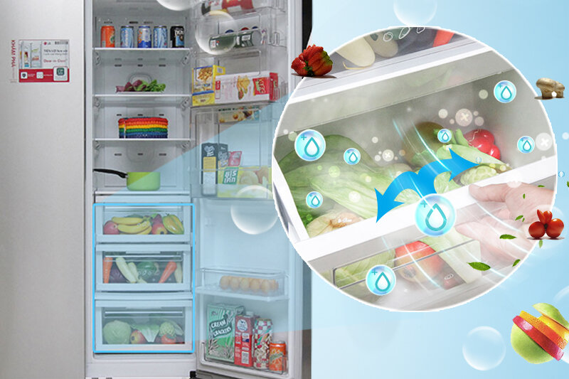 Tủ lạnh LG 629 lít GR-R267JS