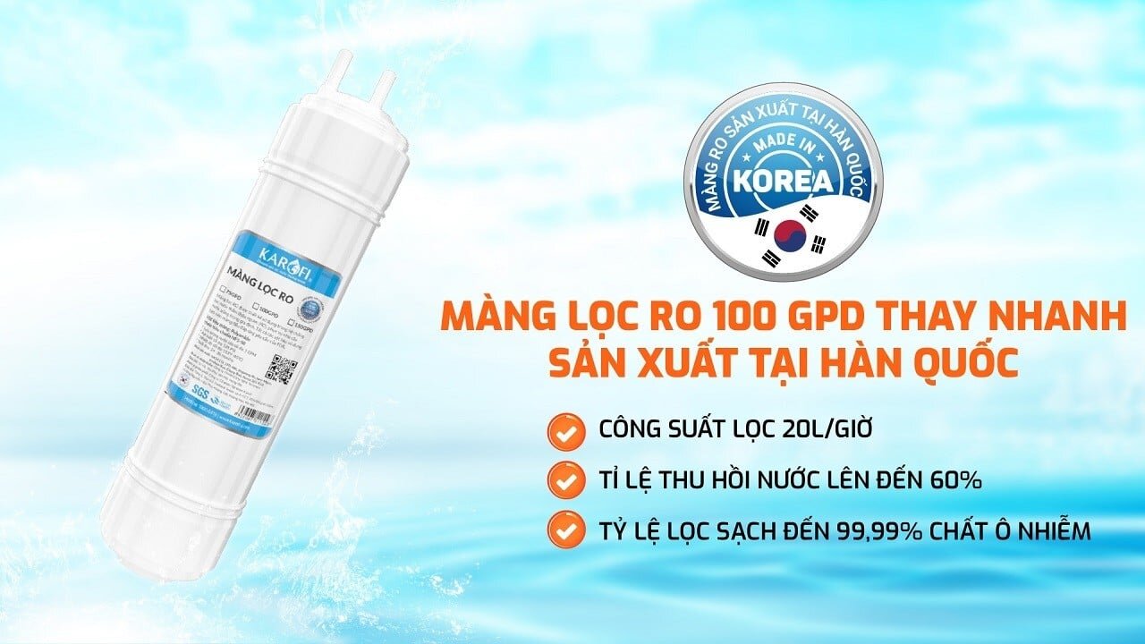 Màng RO của máy lọc nước RO Karofi Livotec 606 