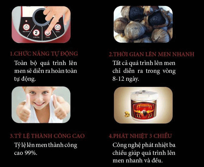 Máy làm tỏi đen TIROSS TS906, 90W (Màu đỏ mận)