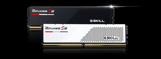 GSKILL Ripjaws S5 - Màu Bạc 6