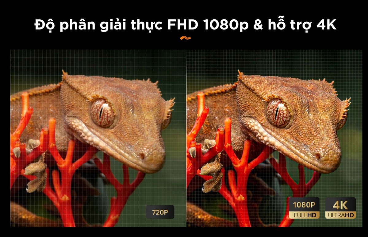 Máy chiếu gia đình có độ phân giải Full HD Máy chiếu gia đình