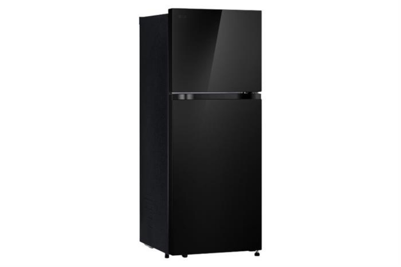 Tủ lạnh LG Inverter 217 lít T21BG 3 Tủ lạnh LG Inverter 217 lít T21BG
