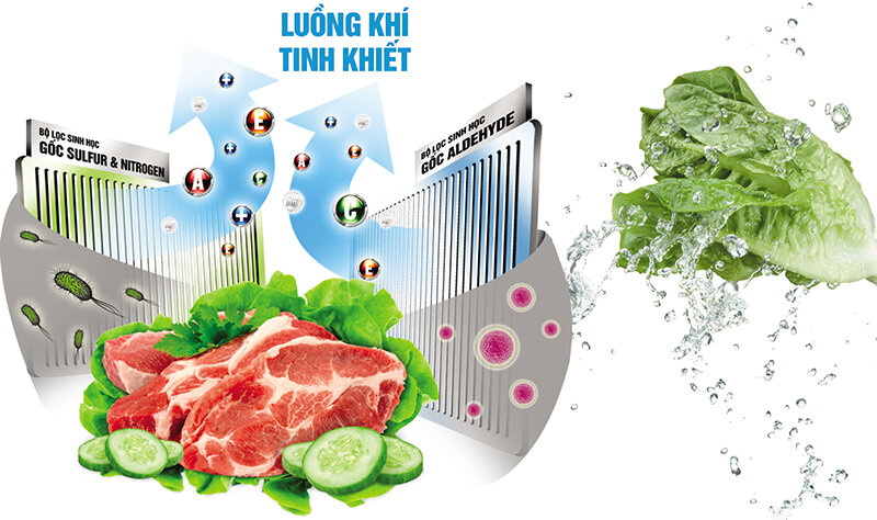 Tủ lạnh Toshiba 186 lít GR-M25VMBZ(UKG) Tủ lạnh Toshiba 186 lít GR-M25VMBZ(UKG)