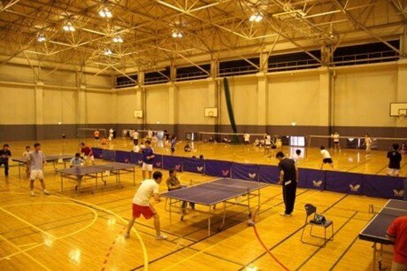 Bàn bóng bàn Bình Minh S95